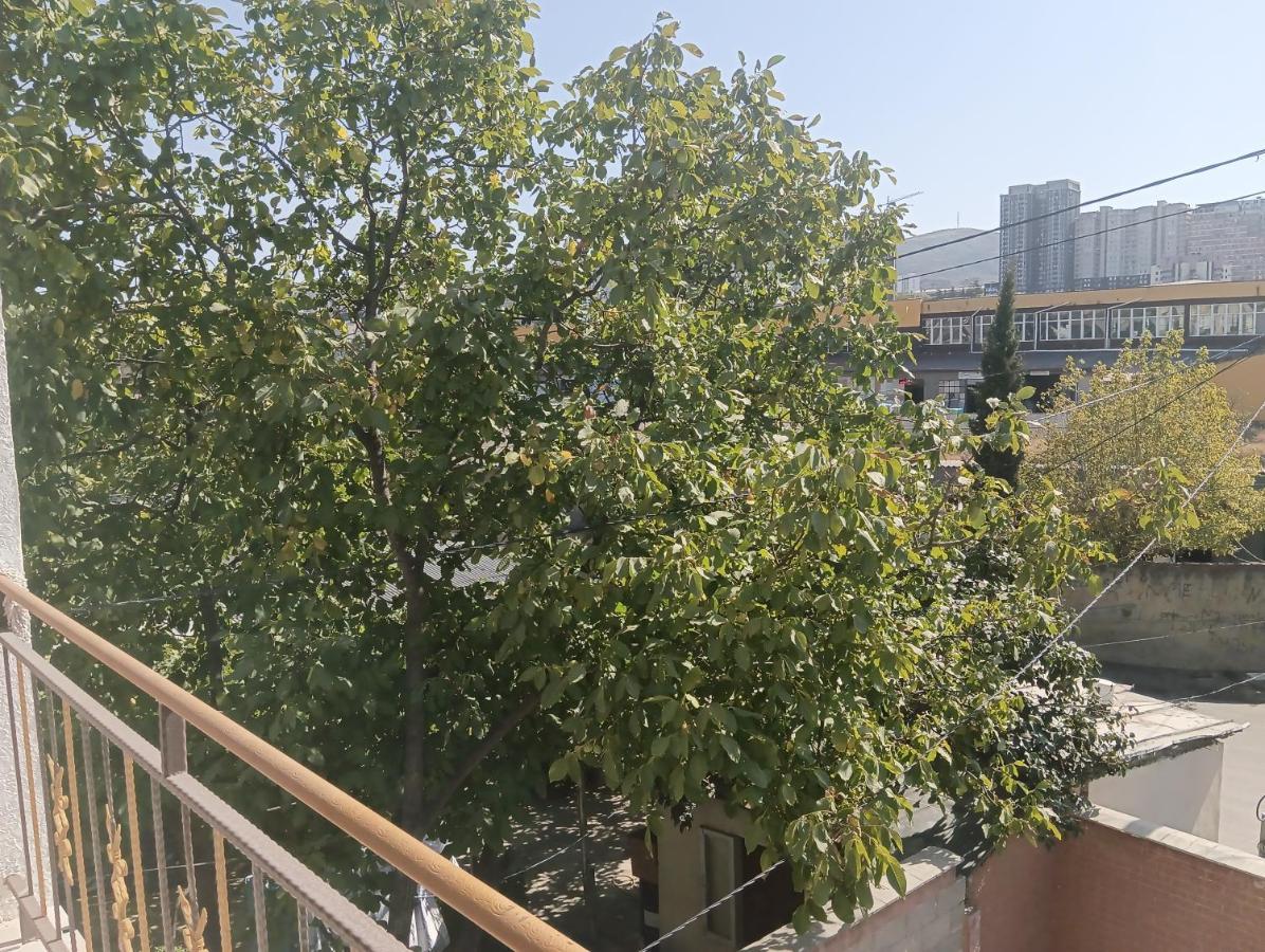 Mary'S Cozy & Lovely Studio On Very Quiet Khosharauli Street 第比利斯 外观 照片